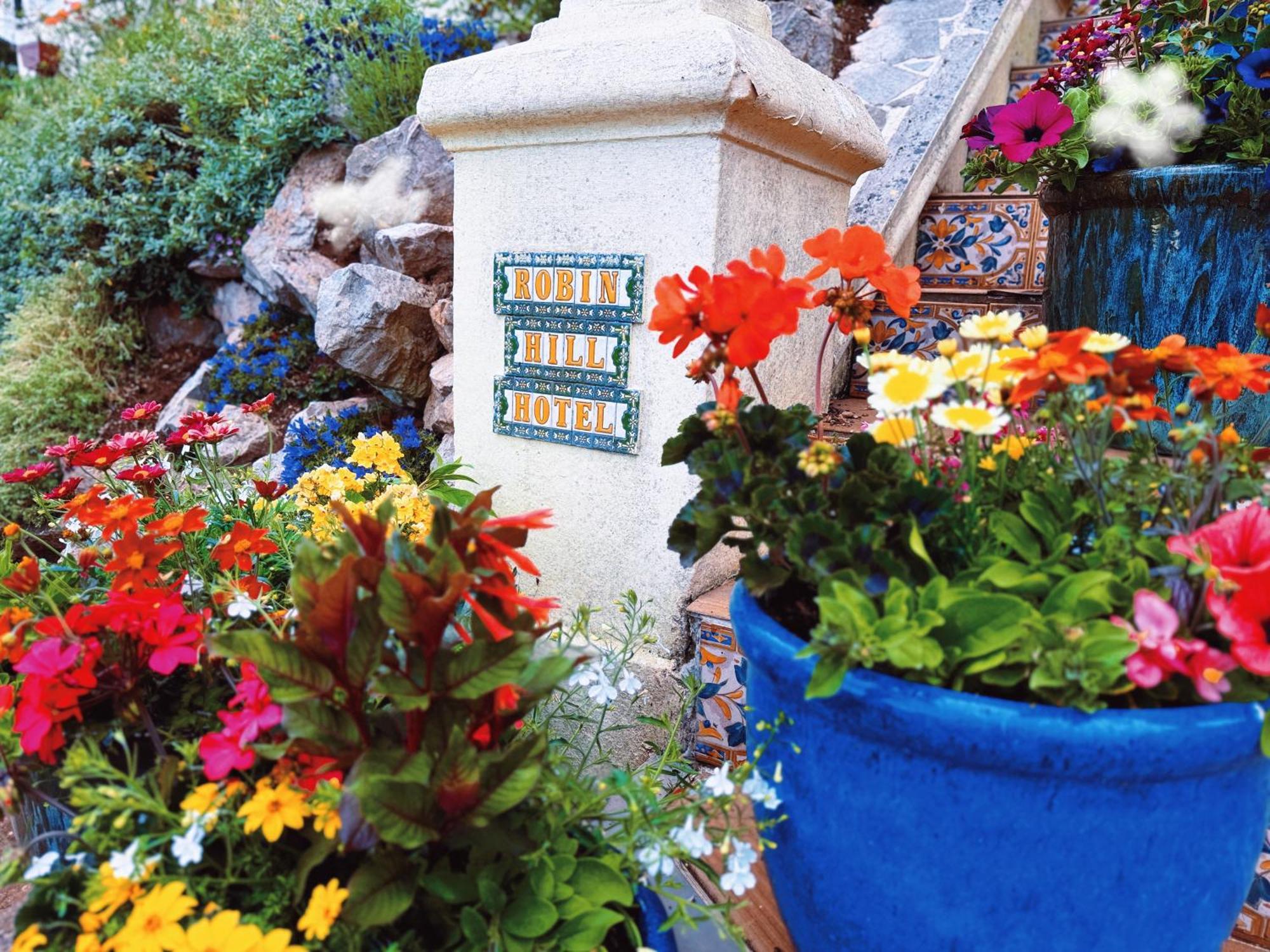 The Robin Hill Panzió Torquay Kültér fotó
